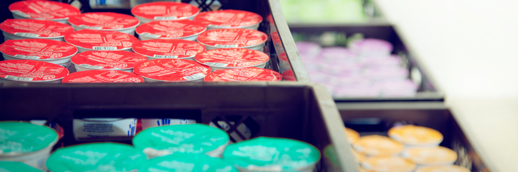 Mein alternativer Text